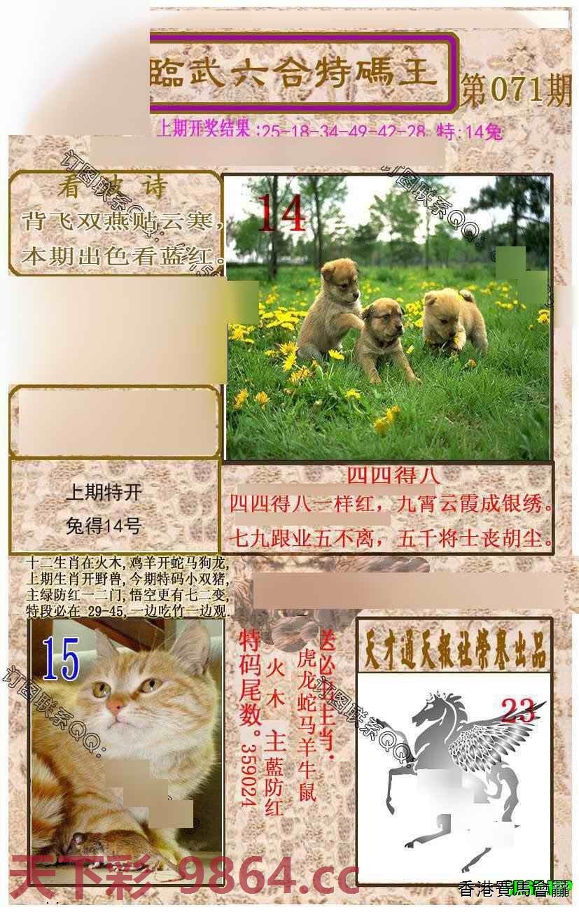 临武六合特码王